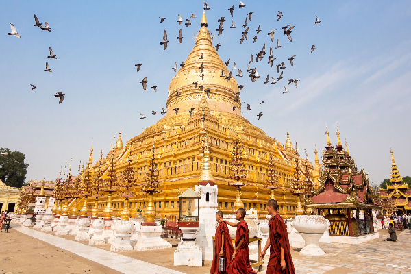 Yangon Culinary Tour  7d6n - photo 1